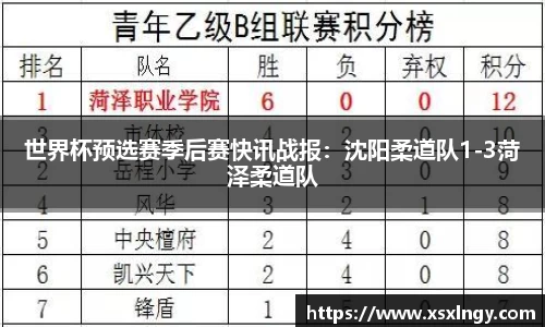 世界杯预选赛季后赛快讯战报：沈阳柔道队1-3菏泽柔道队
